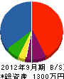 松本技建 貸借対照表 2012年9月期