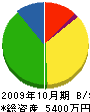 大嶋建設 貸借対照表 2009年10月期