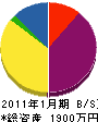 藤澤建設 貸借対照表 2011年1月期