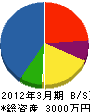 川瀬組 貸借対照表 2012年3月期