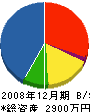 西尾組 貸借対照表 2008年12月期