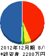 斎藤電気商会 貸借対照表 2012年12月期