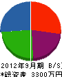 手塚建設工業 貸借対照表 2012年9月期