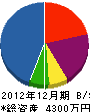 小島塗装店 貸借対照表 2012年12月期