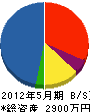 丸勝電気 貸借対照表 2012年5月期