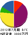 ヤマコプラン 貸借対照表 2012年7月期
