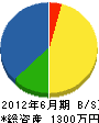 尾崎造園店 貸借対照表 2012年6月期