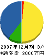 松本商店 貸借対照表 2007年12月期