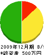 藤井建設 貸借対照表 2009年12月期