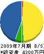 松岡電気 貸借対照表 2009年7月期