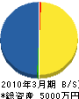 カシマ 貸借対照表 2010年3月期