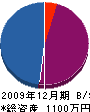妹川塗装 貸借対照表 2009年12月期