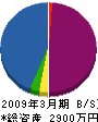 智匠工業 貸借対照表 2009年3月期