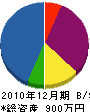 大嶋造園 貸借対照表 2010年12月期