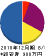 日本ペトラ 貸借対照表 2010年12月期