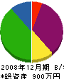 平野ペイント 貸借対照表 2008年12月期