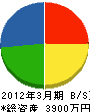 和田発掘調査所 貸借対照表 2012年3月期