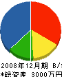 四方津石井工務店 貸借対照表 2008年12月期