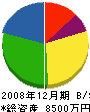 後藤建設 貸借対照表 2008年12月期