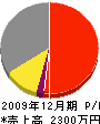 片山電機 損益計算書 2009年12月期