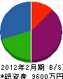 新井通信システム 貸借対照表 2012年2月期