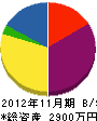 杉田電気工業所 貸借対照表 2012年11月期