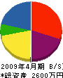 渡辺商店 貸借対照表 2009年4月期