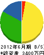 塩沢建設 貸借対照表 2012年6月期