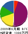 田辺建築塗装 貸借対照表 2009年6月期