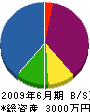 園田技研 貸借対照表 2009年6月期
