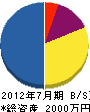 南日本地質調査 貸借対照表 2012年7月期
