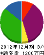 嶋倉塗装 貸借対照表 2012年12月期