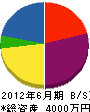 田辺材木店 貸借対照表 2012年6月期