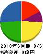 シンセイ技研 貸借対照表 2010年6月期