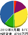 丸山電気商会 貸借対照表 2012年8月期