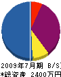 新井電気 貸借対照表 2009年7月期
