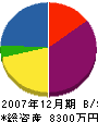 櫻井水設 貸借対照表 2007年12月期