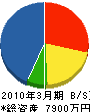 藤田総業 貸借対照表 2010年3月期
