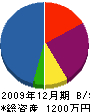 池田造園 貸借対照表 2009年12月期