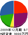 帯田建設 貸借対照表 2009年12月期