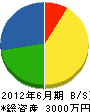 香川電気商会 貸借対照表 2012年6月期