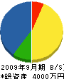 井上電気商会 貸借対照表 2009年9月期