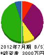 香芝造園 貸借対照表 2012年7月期