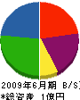 堀井塗装工業 貸借対照表 2009年6月期