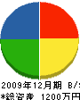 芳賀電気商会 貸借対照表 2009年12月期