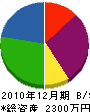 柴田電業 貸借対照表 2010年12月期
