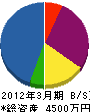 九州レイキシステムズ 貸借対照表 2012年3月期