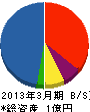 中部川崎 貸借対照表 2013年3月期