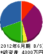 栄林産業 貸借対照表 2012年6月期
