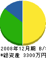 松本組 貸借対照表 2008年12月期